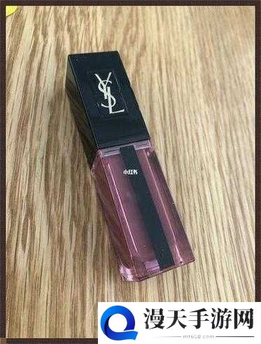 YSl 千人千色 t9t9t9t9：专属你的色彩魅力